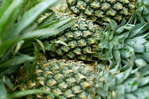 Zelf aan de slag: Ananas plant stekjes kweken in je eigen tuin